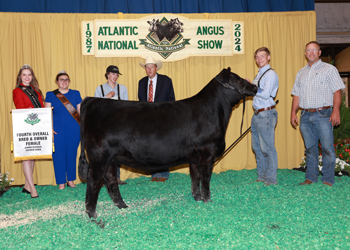 Fourth Overall Bred-and-owned Champion Female