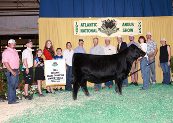 Reserve Grand Champion Owned Female