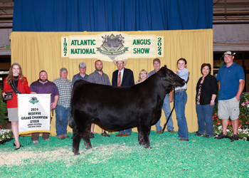 Reserve Grand Champion Steer