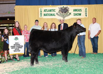 Reserve Grand Champion Bred-and-owned Steer