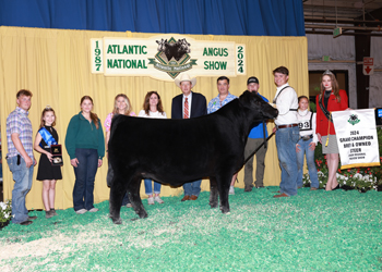 Grand Champion Bred-and-owned Steer