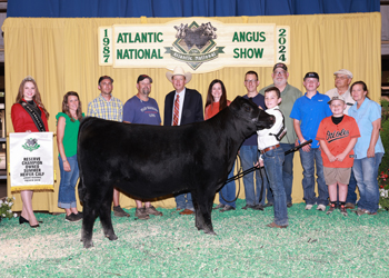 Owned Reserve Summer Heifer Calf Champion