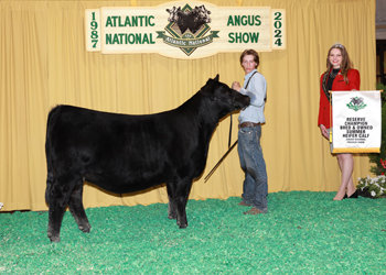 Bred-and-owned Reserve Summer Heifer Calf Champion