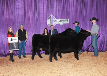 Grand Champion Cow-calf Pair