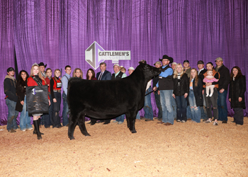 Reserve Grand Champion Female