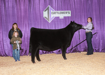 Reserve Intermediate Champion Heifer