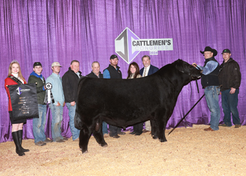 Reserve Grand Champion Bull