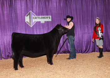 Reserve Senior Heifer Calf Champion - Div 2