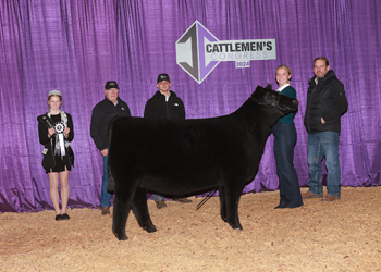 Reserve Junior Heifer Calf Champion - Div 3