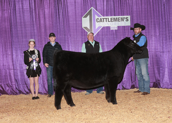 Junior Heifer Calf Champion - Div 3