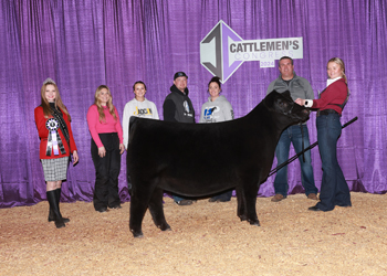 Junior Heifer Calf Champion - Div 2