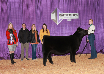 Junior Heifer Calf Champion - Div 1