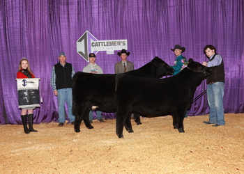 Grand Champion Cow-calf Pair