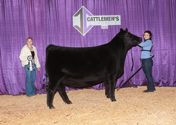 Owned Reserve Junior Champion Heifer--division 2