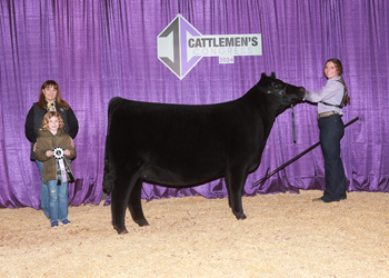 Owned Reserve Intermediate Champion Heifer