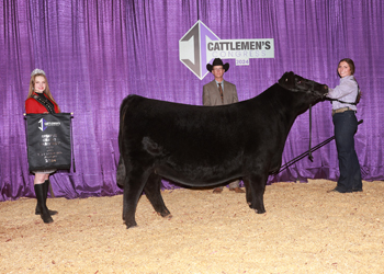 Reserve Grand Champion Owned Female