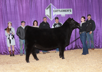 Owned Senior Heifer Calf - Div 2