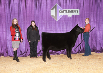 Owned Junior Heifer Calf - Div 1