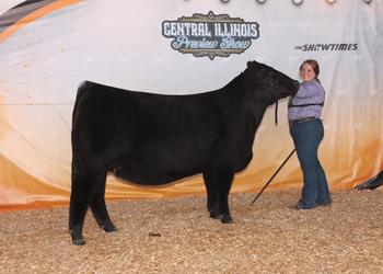 Reserve Senior Champion Female