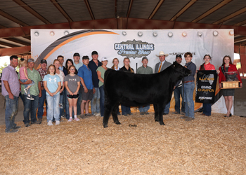 Grand Champion Female