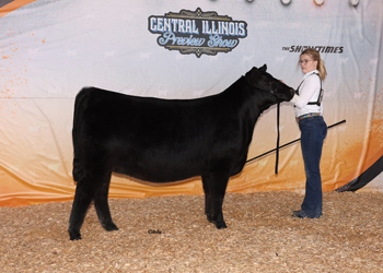 Reserve Late Junior Champion Heifer