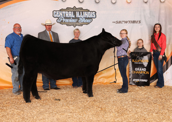 Reserve Grand Champion Steer