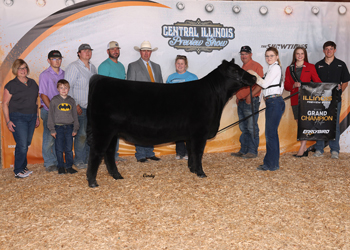 Reserve Grand Champion Female