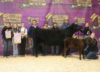 Reserve Senior Champion Female