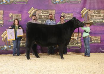 Reserve Intermediate Champion Heifer