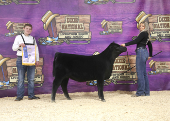 Reserve Fall Junior Heifer Calf Champion