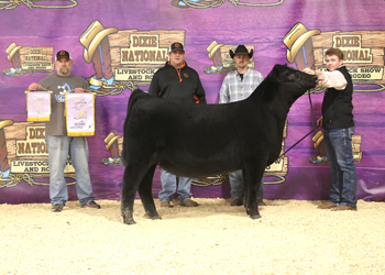 Reserve Summer Heifer Calf Champion