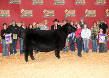 Grand Champion Female