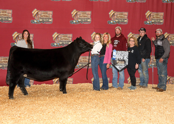 Reserve Champion Mississippi Bred Female