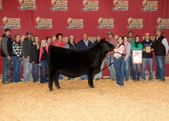 Reserve Grand Champion Female