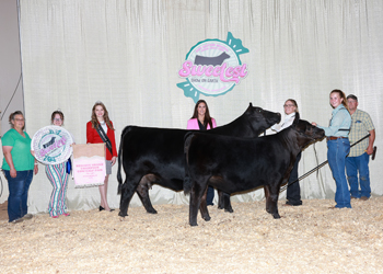 Reserve Grand Champion Cow-calf Pair