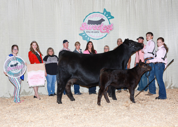 Grand Champion Cow-calf Pair