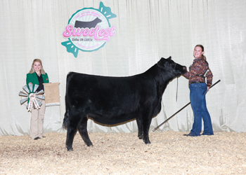 Owned Reserve Senior Champion Female