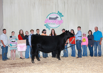 Reserve Grand Champion Owned Female