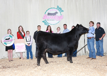 Reserve Grand Champion Bred-and-owned Female