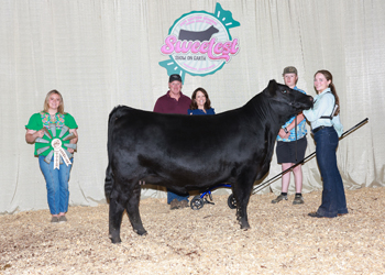 PGS Reserve Heifer Division 4