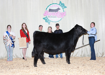 Bred-and-owned Reserve Junior Champion Heifer