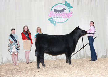 Owned Reserve Junior Champion Heifer--division 1