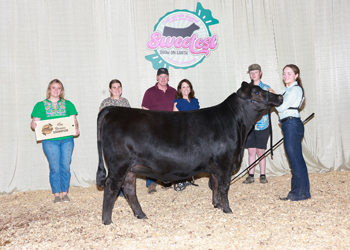 PGS Heifer Division 2