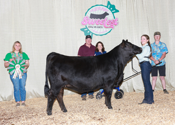 PGS Reserve Heifer Division 3