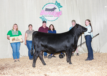 PGS Heifer Division 3