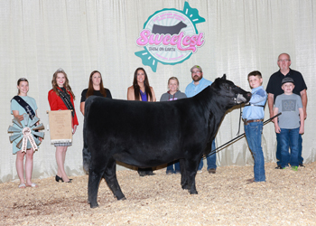 Owned Reserve Junior Champion Heifer--division 2