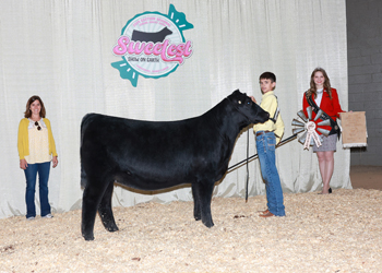 Bred-and-owned Reserve Intermediate Champion Heifer