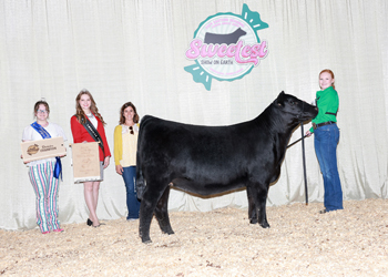 Bred-and-owned Junior Champion Heifer