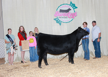 Owned Reserve Intermediate Champion Heifer