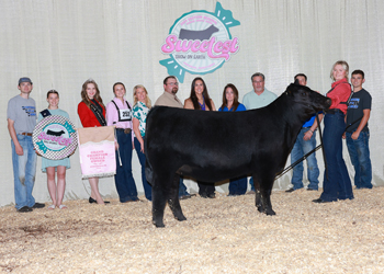 Grand Champion Owned Female